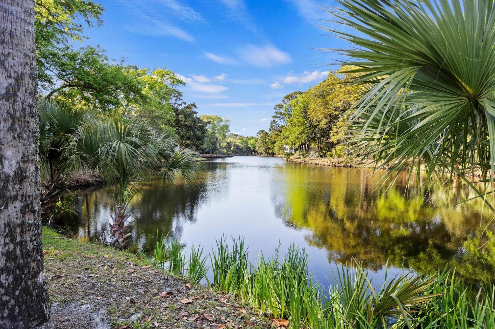 5556 Turtle Cove Βίλα Kiawah Island Εξωτερικό φωτογραφία